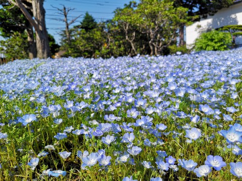 Blog