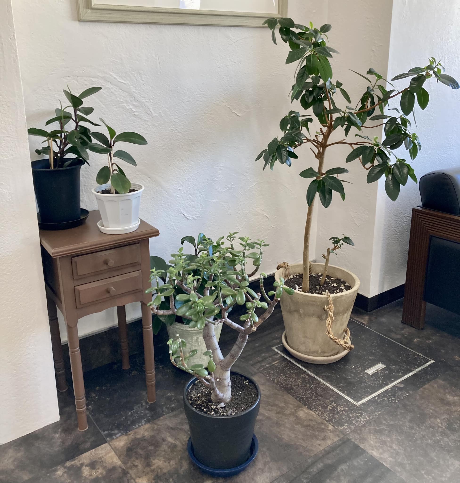 Blog